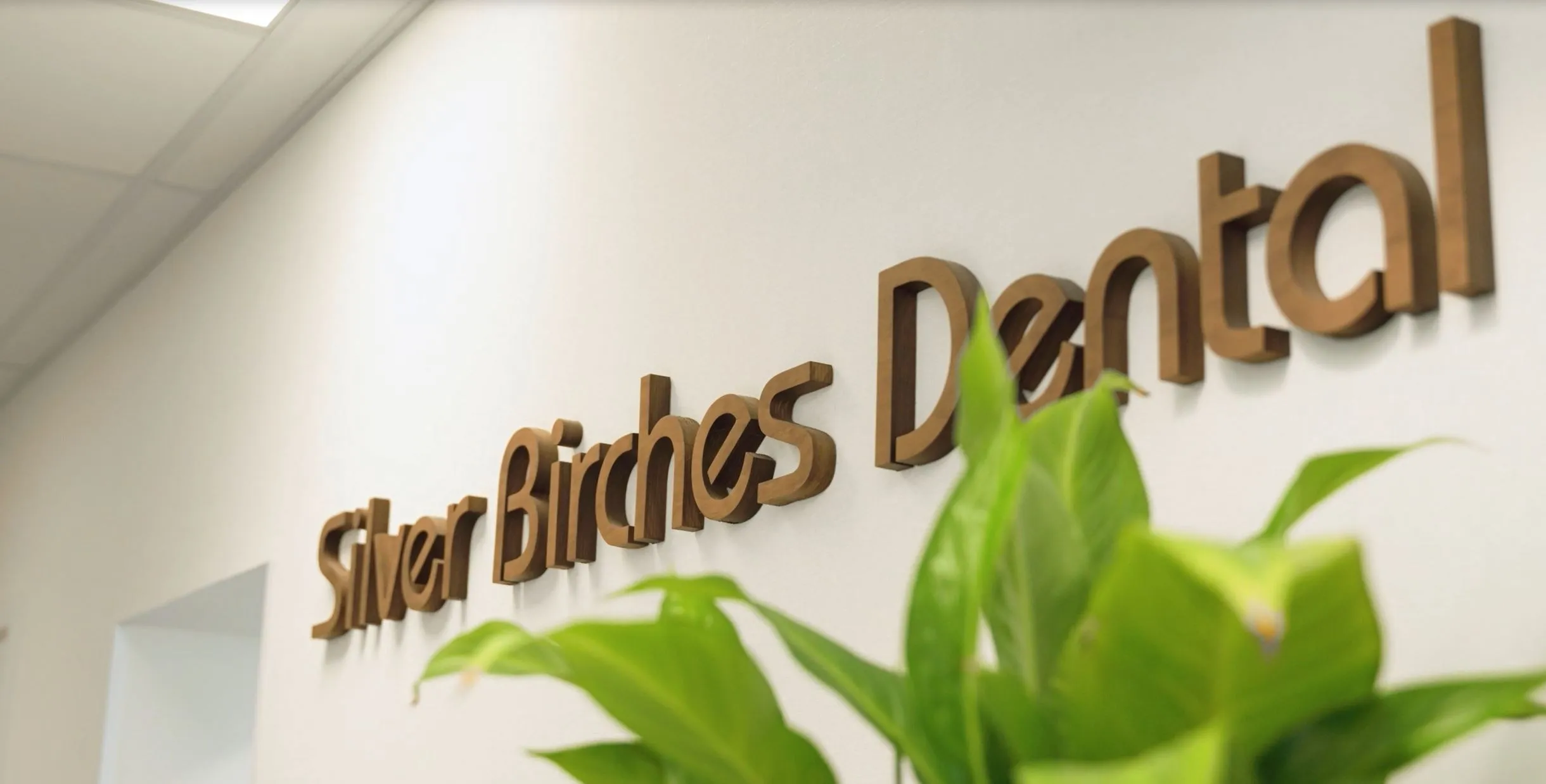 silver birches dental