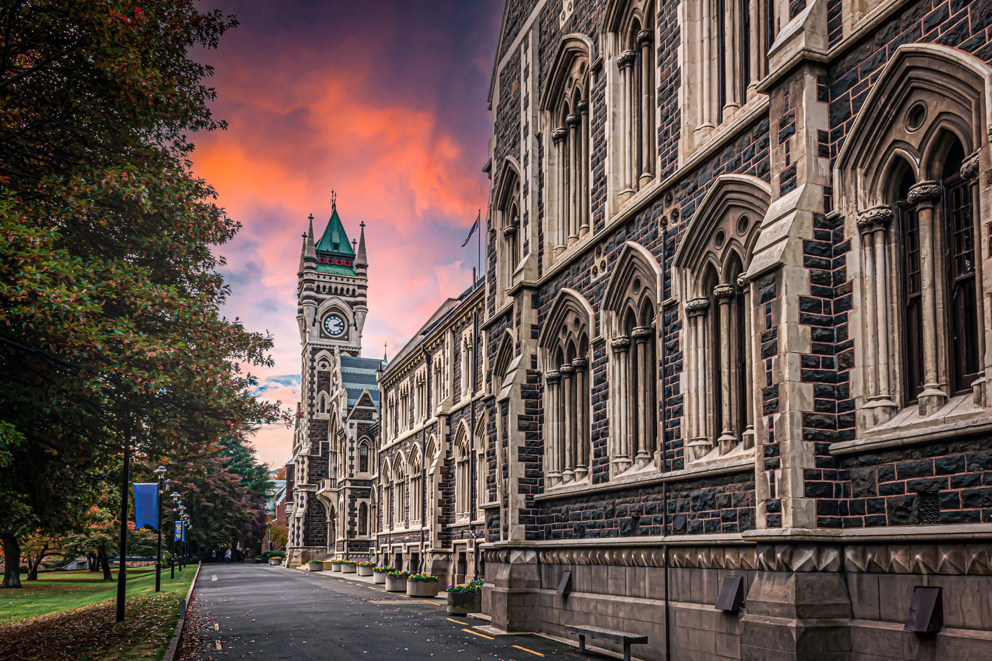 university of otago dunedin