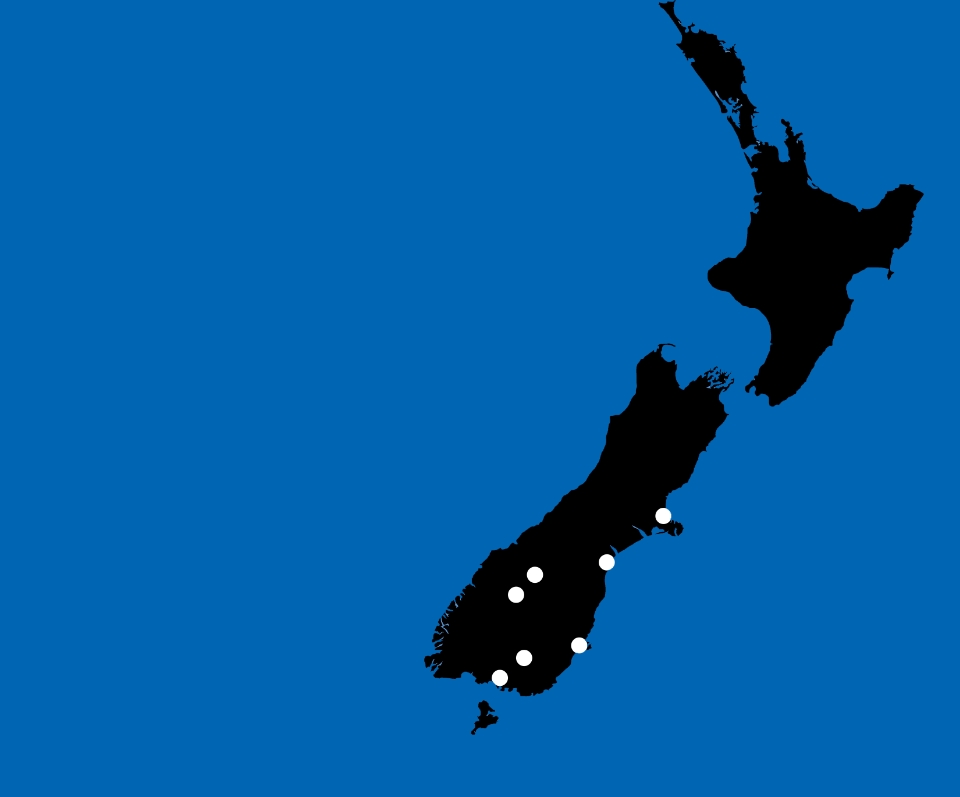 IT Companies New Zealand
