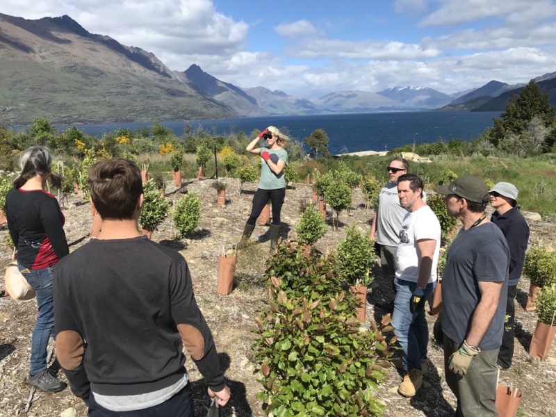 Focus Queenstown volunteer at Wakatipu Reforestation Trust Focus Technology